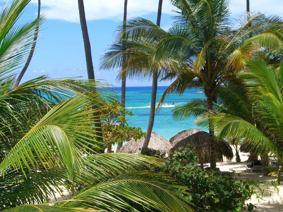 Traumhafter Ausblick... Hotel Grand Palladium Palace Resort, Spa & Casino