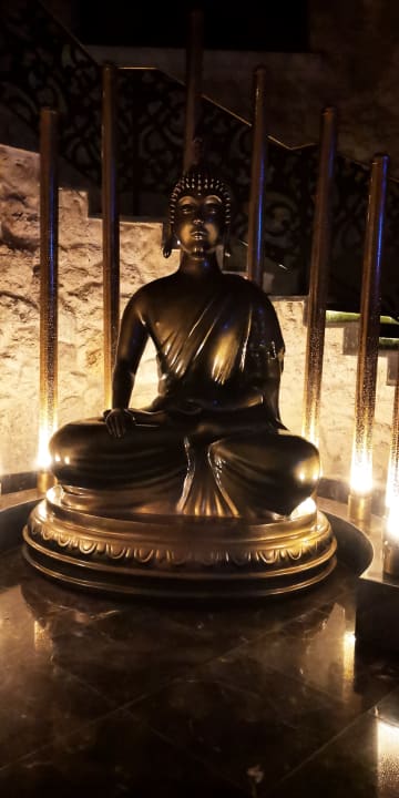 Gastro Pickalbatros Citadel Resort