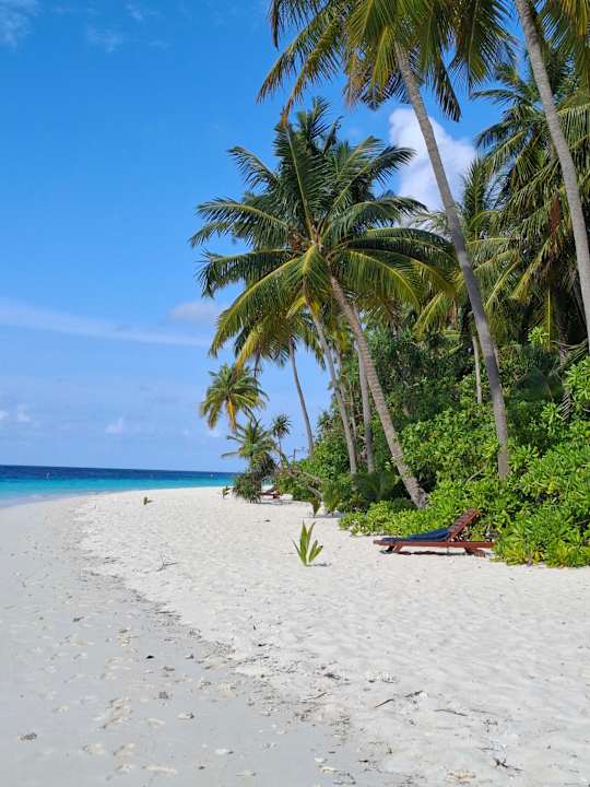 Strand Filitheyo Island Resort