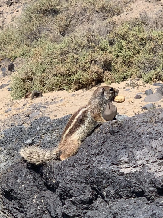 Strand Club Jandia Princess