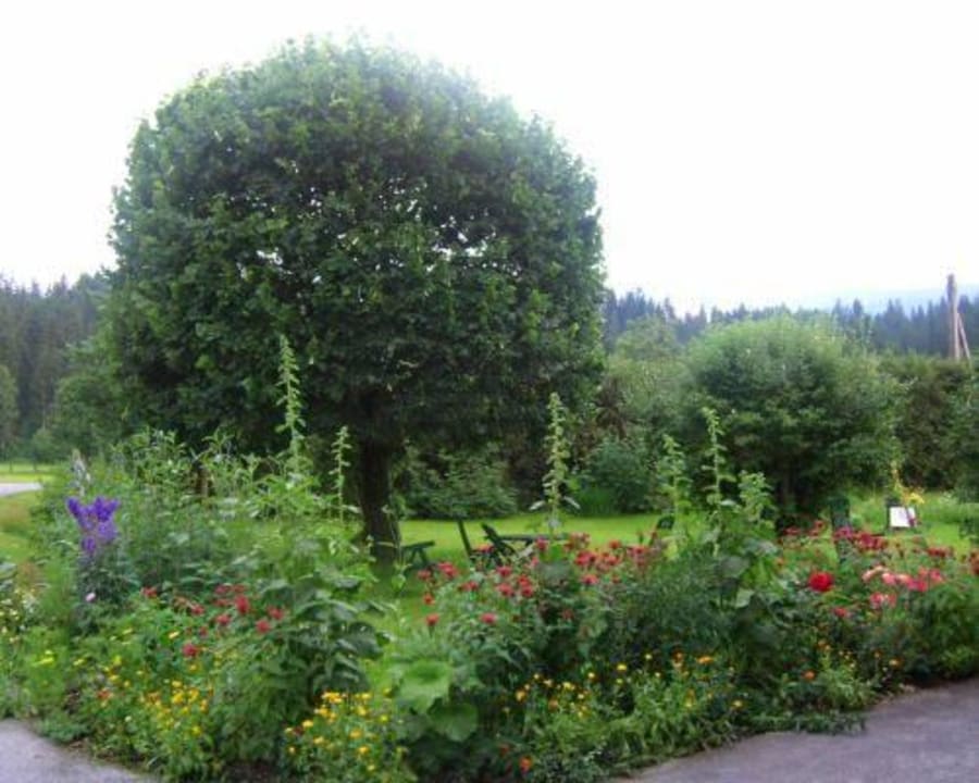 Garten Pension Freihof