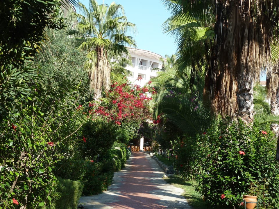 Der Weg vom Strand ins Hotel Hotel Defne Garden