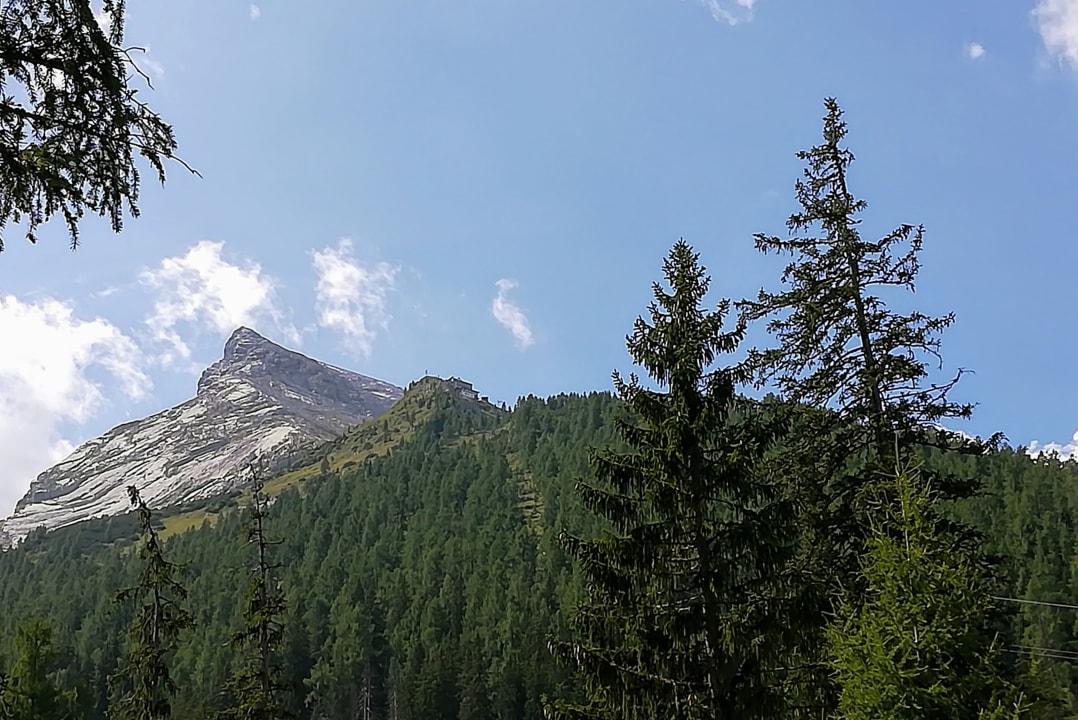 Ausblick Gästehaus Göllblick