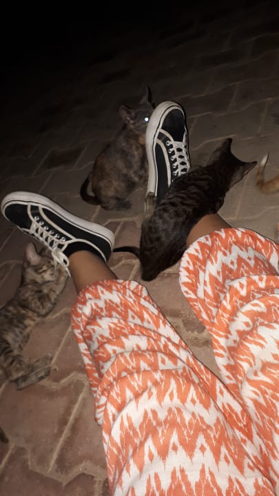 Sonstiges Happy Life Village