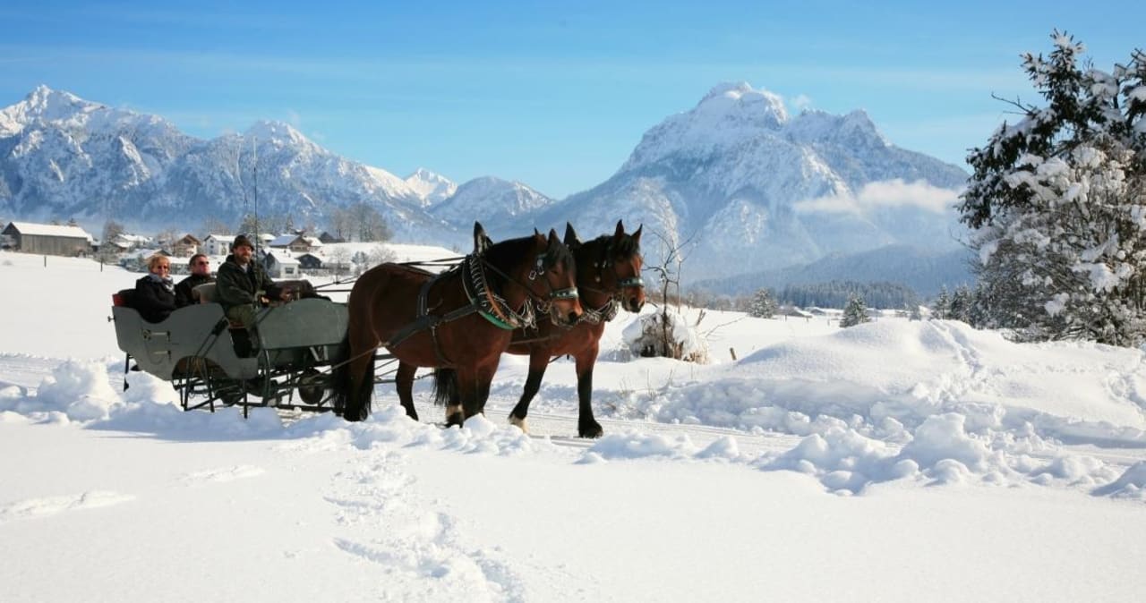 Eigene Pferdeschlittenfahrten! Seehotel Hartung & Ferienappartements