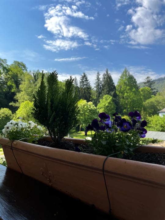 Ausblick PARK VILLA zentral am Mittelrhein