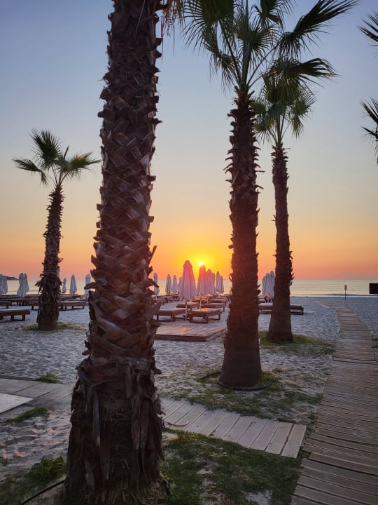 Strand Alexandra Golden Boutique - Adults only