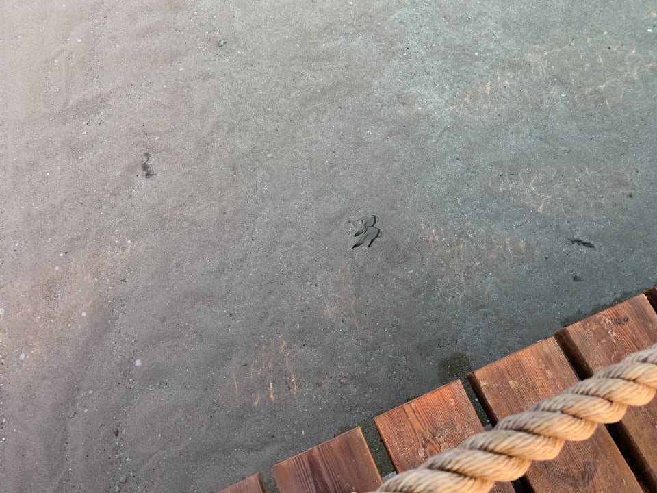 Strand Hotel JAZ Makadi Star & Spa