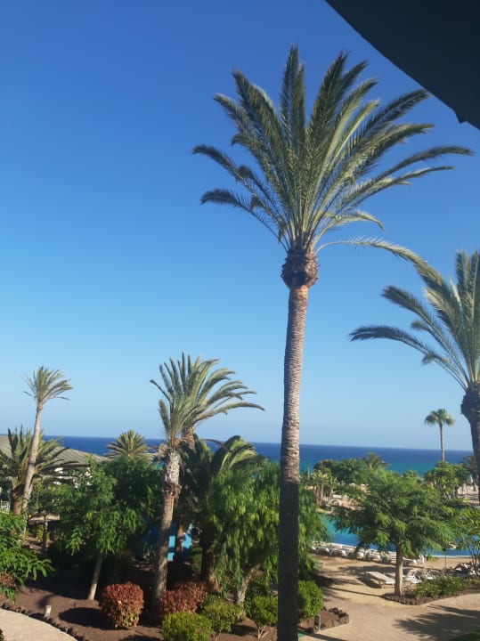 Gartenanlage R2 Pajara Beach