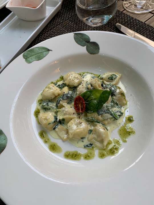 Gastro Acanthus Cennet Barut Collection