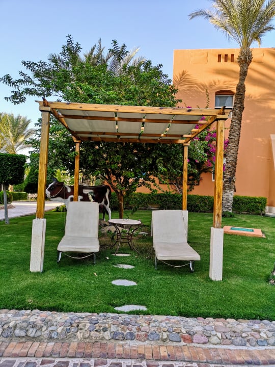 Pool Jaz Makadi Blue - TUI BLUE Makadi - Adults Friendly 16 Years Plus