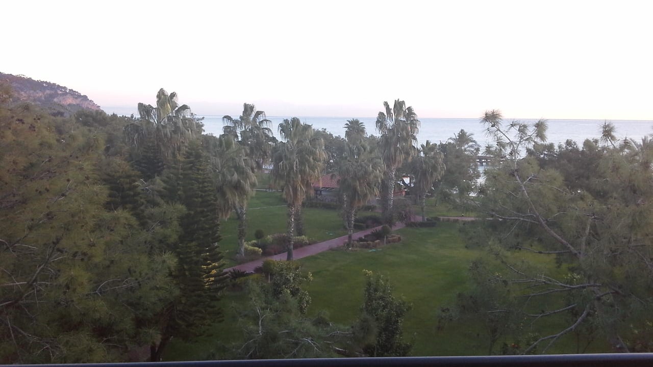 Gartenanlage TUI MAGIC LIFE Beldibi +16