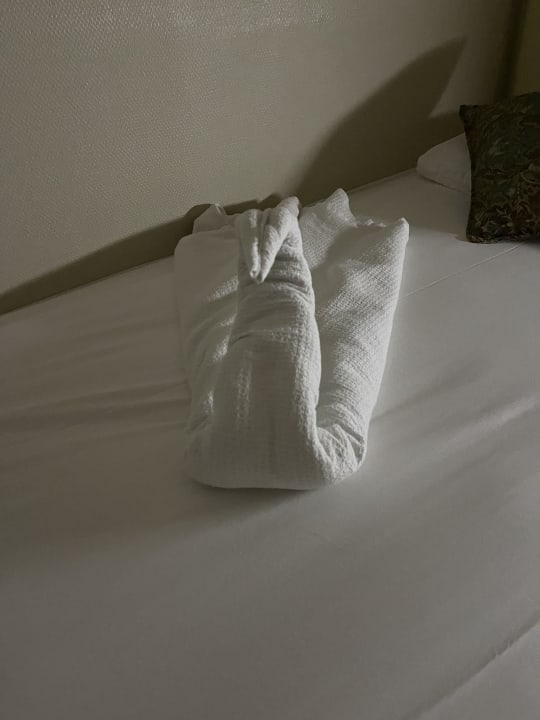 Zimmer Calimera Hane Garden