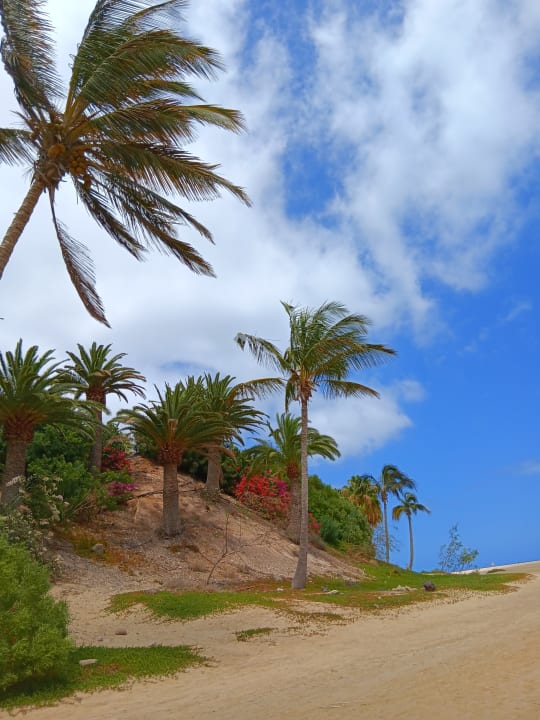 Strand INNSiDE by Melia Fuerteventura - Adults Only