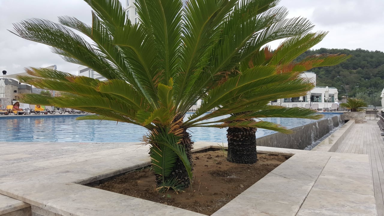 Sehr sauber Sheraton Samsun Hotel