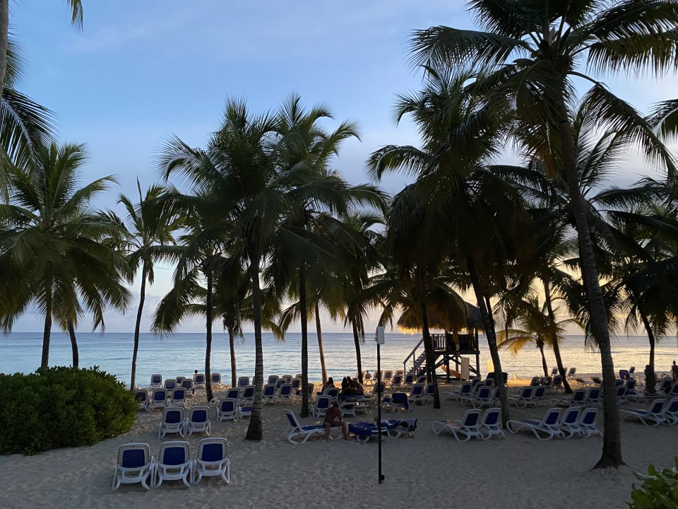 Strand Hotel Viva Dominicus Beach by Wyndham - All Inclusive Resort