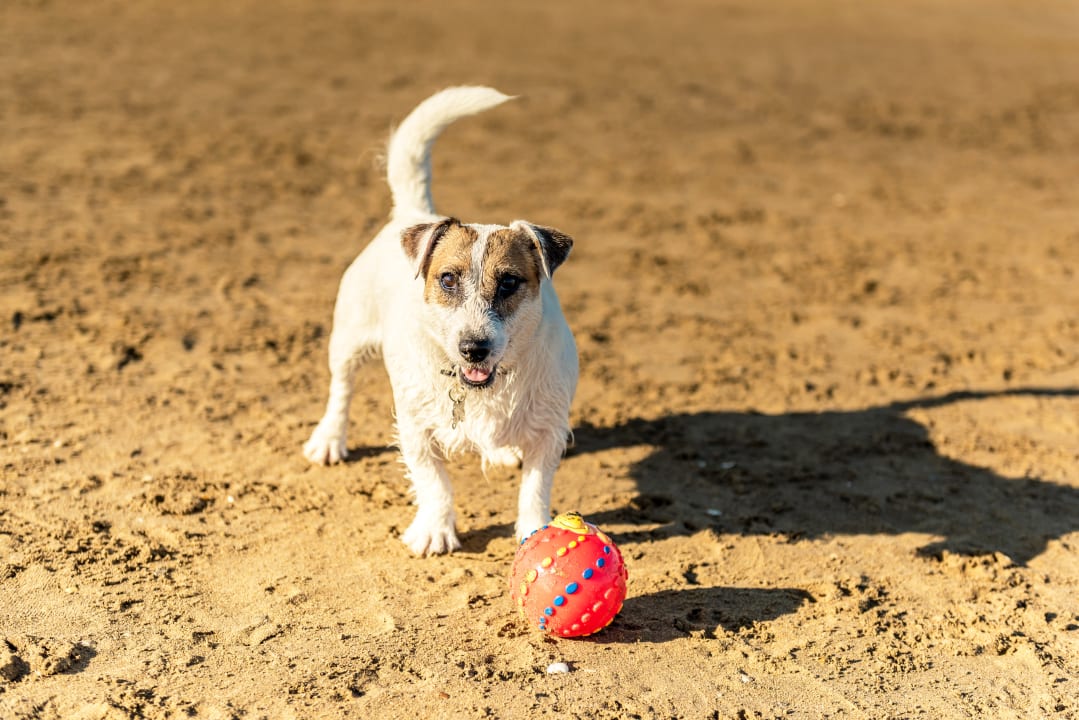 Sonstiges Hotel Residence Mara