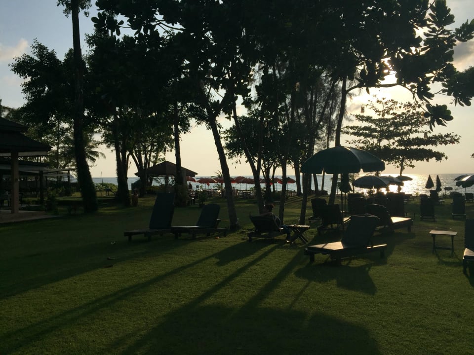 Liegewiese Khao Lak Merlin Resort