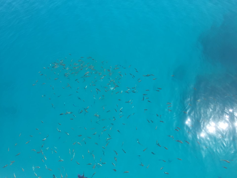 Sport & Freizeit Hotel Three Corners Ocean View prestige - Adults only