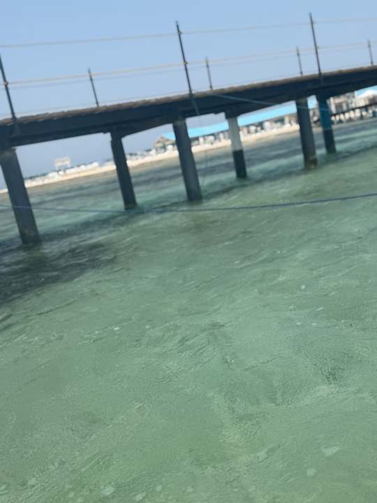 Strand JAZ Elite Asteria