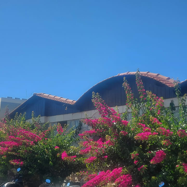 Gartenanlage Hotel Kalithea Horizon Royal