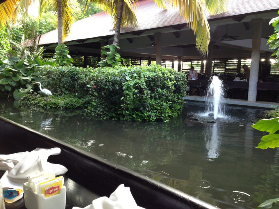 Da macht das Frühstücken nochmal so viel Spaß Punta Cana Princess All Suites Resort & Spa