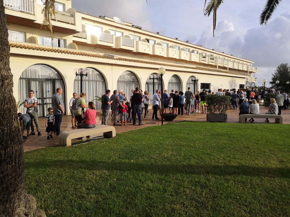 Gastro blau punta reina