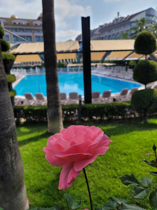 Gartenanlage Aydinbey Kings Palace & Spa