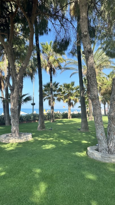 Gartenanlage Acanthus Cennet Barut Collection
