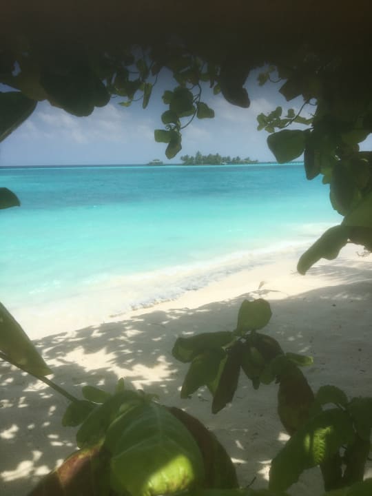 Ausblick Villa Park Sun Island
