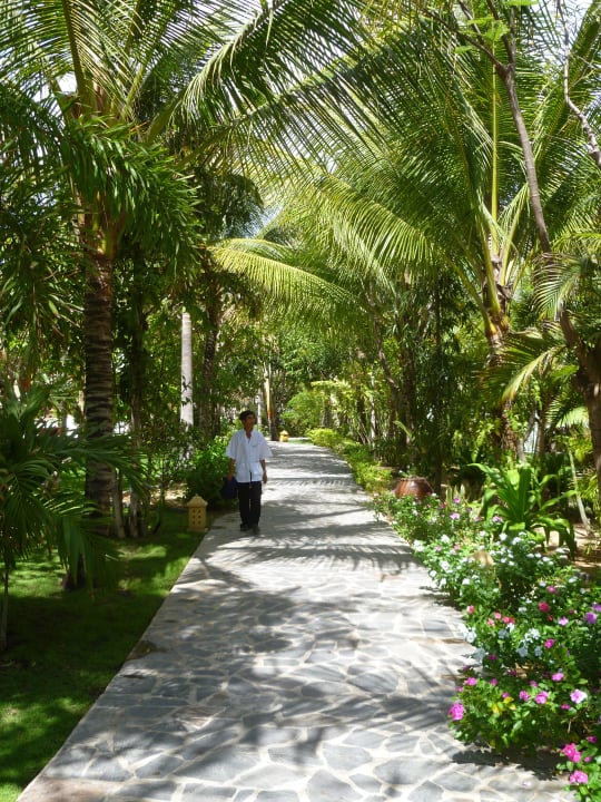 Sehr gepflegte Anlage - viele versch. Pflanzen Allezboo Beach Resort & Spa