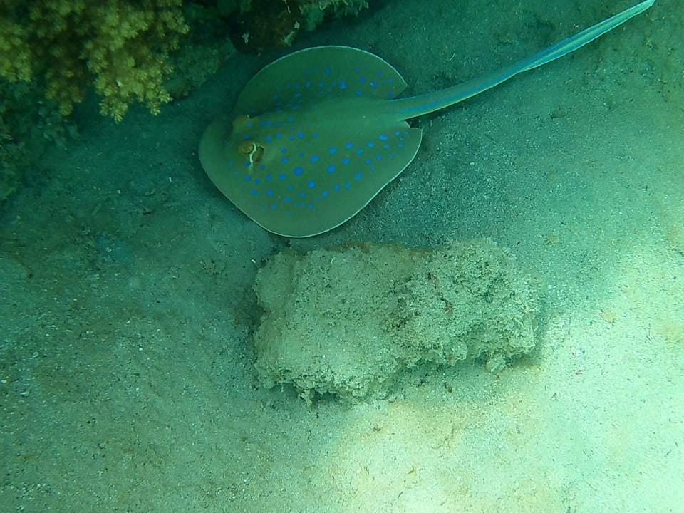 Sport & Freizeit Hotel Mercure Hurghada