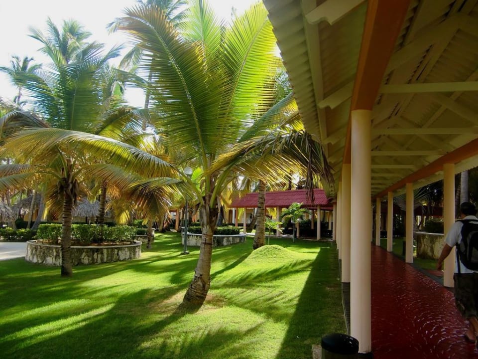 Überdachte Gänge Hotel Grand Palladium Palace Resort, Spa & Casino