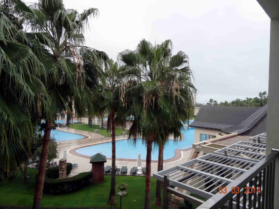 Zimmerblick  Arum Barut Collection