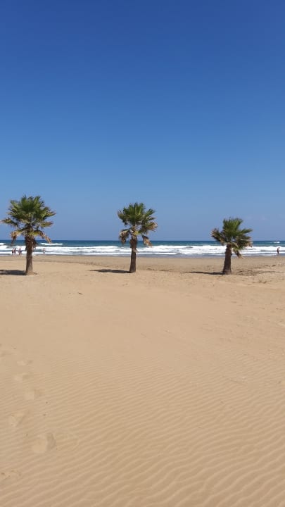 Strand Delfina Tropic Beach