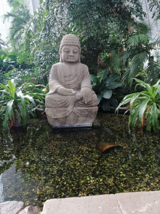 Gartenanlage Tropical Islands Resort