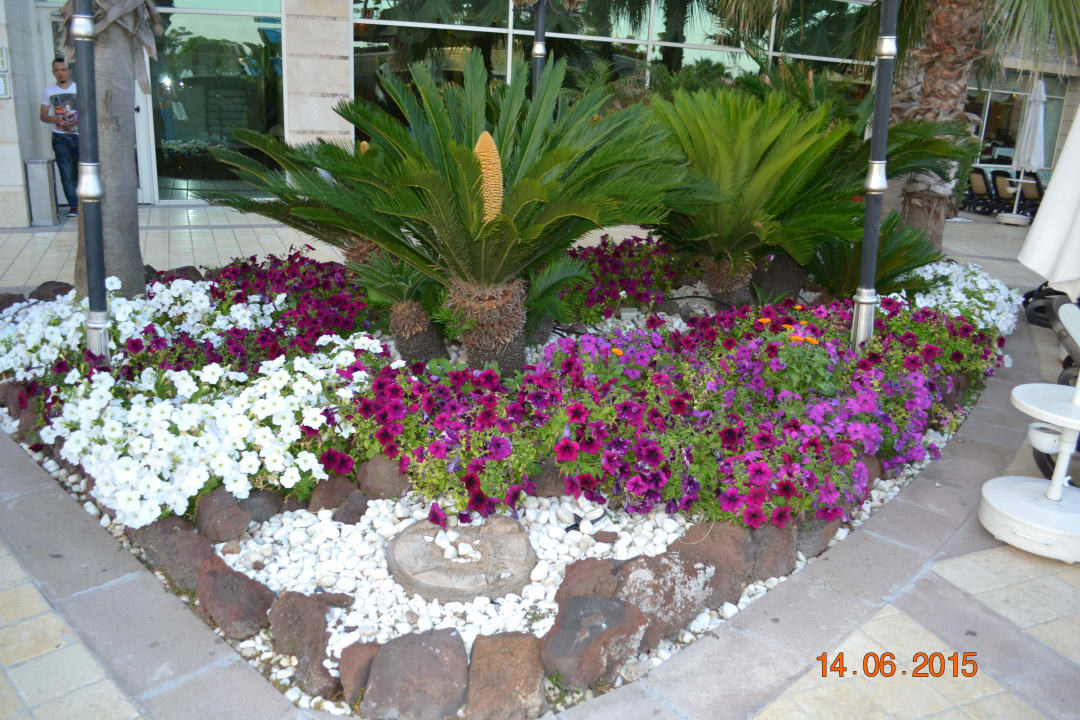 Sehr gepflegte Anlage Diamond Excellence Resort & Spa