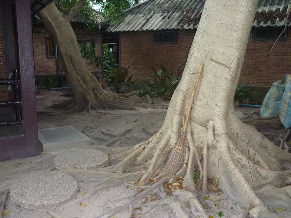 Dschungelgarten Hotel The Cottage