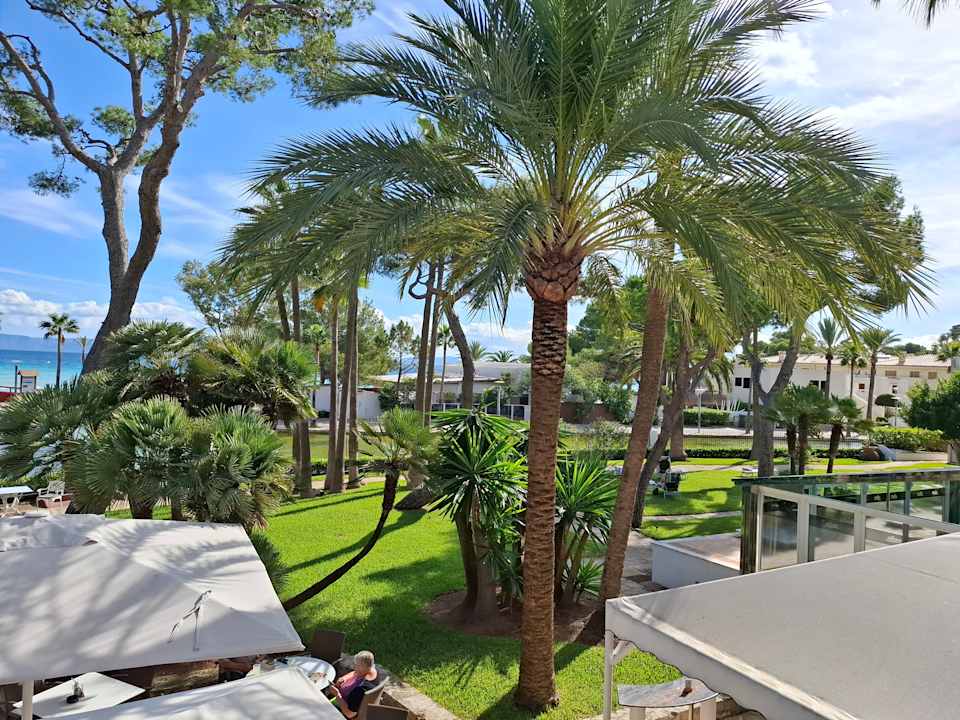 Ausblick allsun App.-Hotel Orquidea Playa