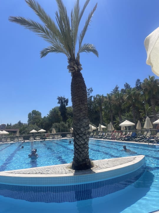 Pool Club Sidelya Hotel