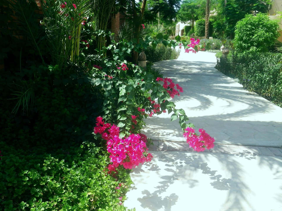 Sehr schön! Shams Alam Beach Resort