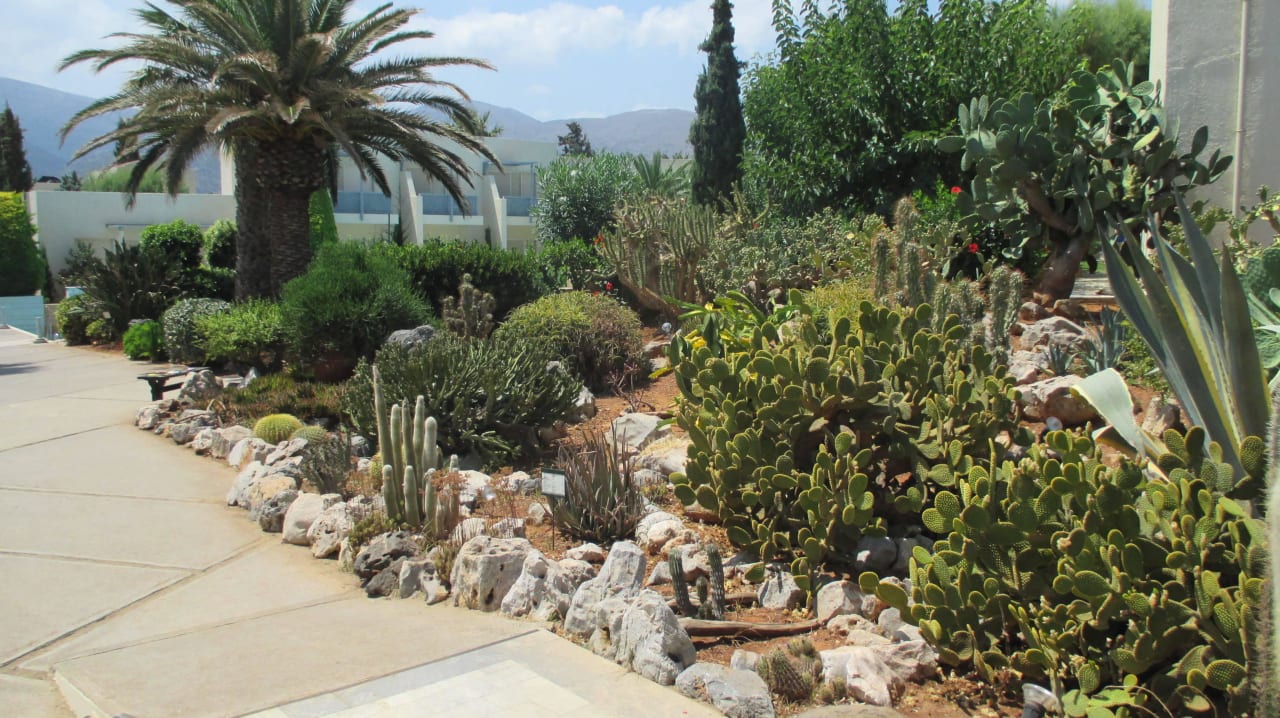 Hotel Cretan Malia Park Phãea Cretan Malia