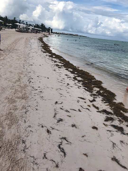 Strand Secrets Cap Cana Resort & Spa - Adults only