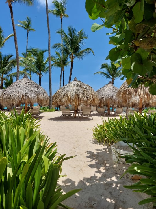 Strand TRS Turquesa Hotel - Adults only