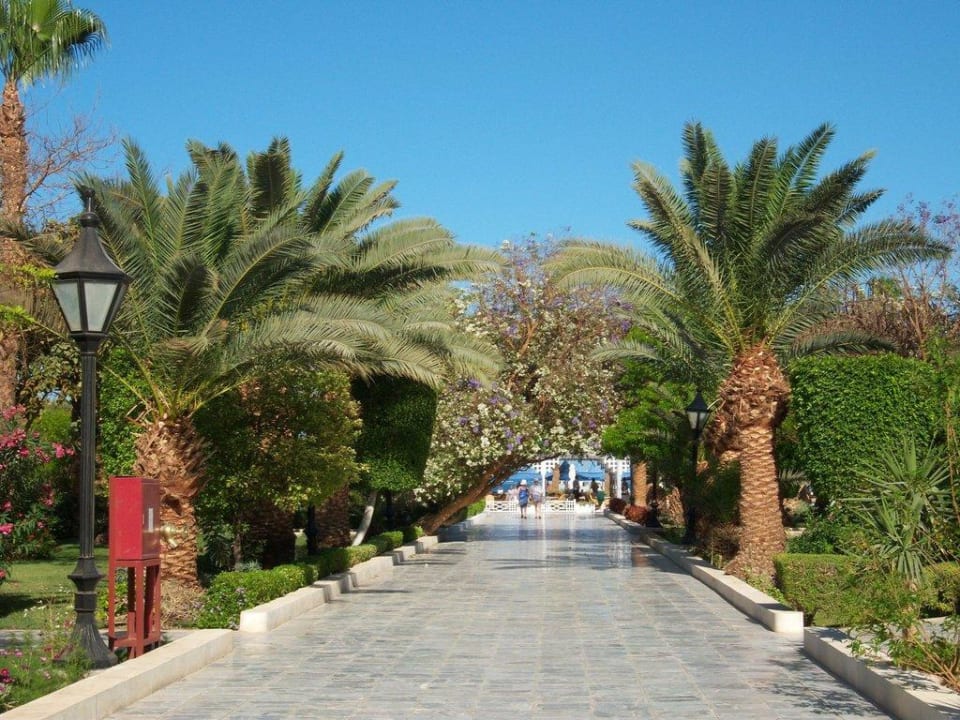 Garten The Grand Hotel Hurghada