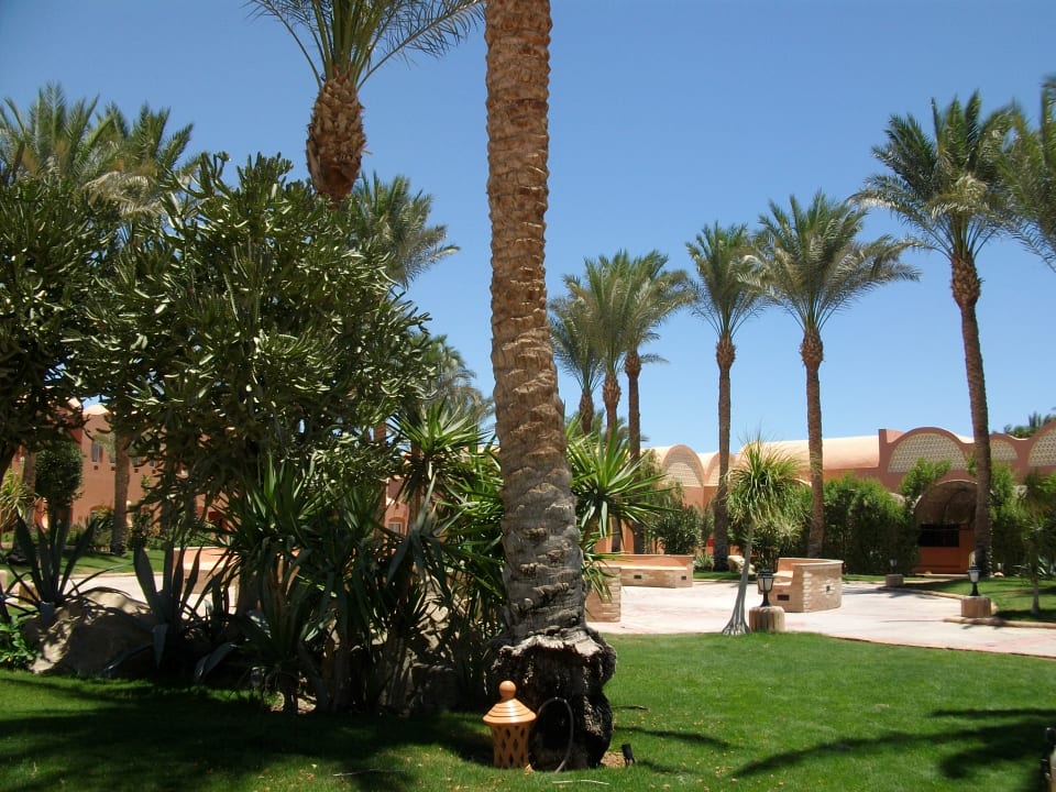 Gartenanlage Jaz Makadi Oasis Resort