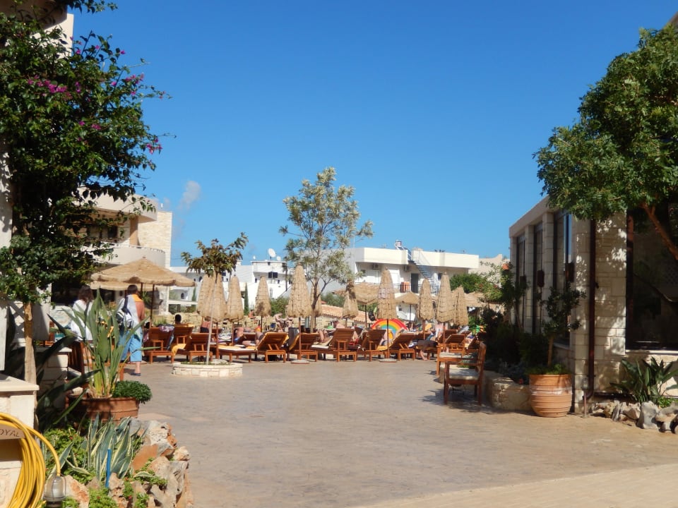 Pool mit Liegestühlen Cactus Royal