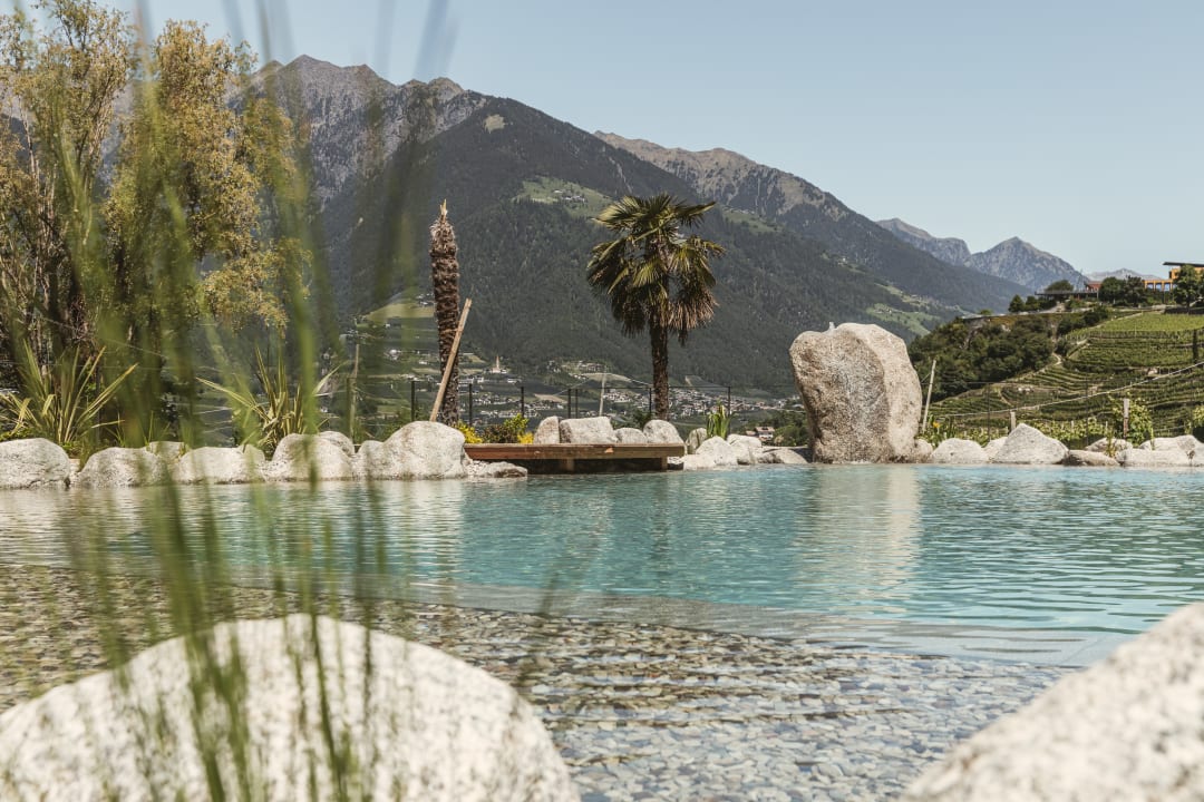 Pool Hosler - Garni Revival