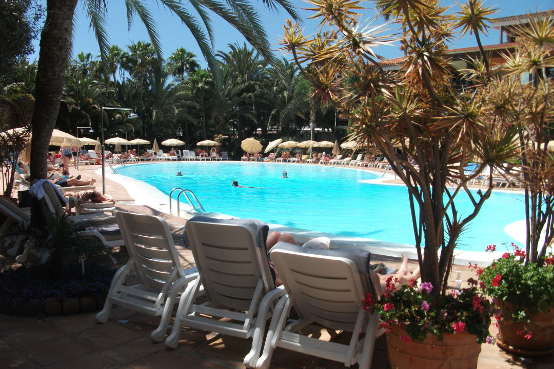 Der Pool mittags Hotel Parque Tropical