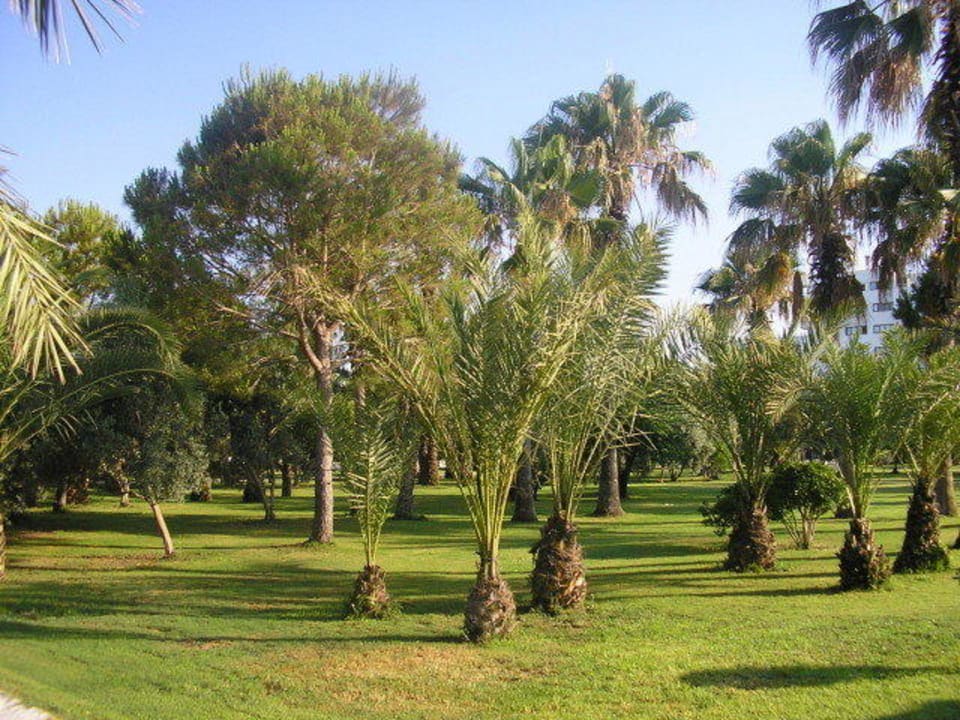 Park Hotel Süral